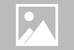 天麻豆功效与吃法,养生佳品，功效与食法全解析